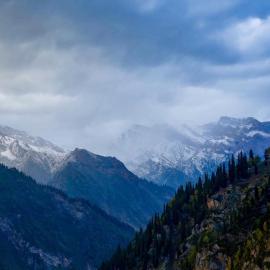 Ecologies of Fear:  Beyond the Bullets in Kashmir